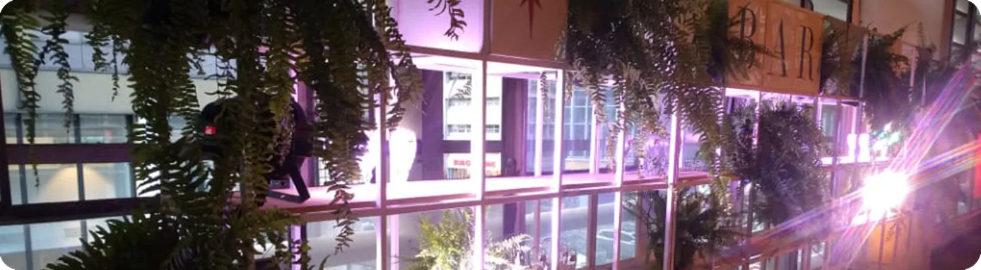 Bar montado em rooftop com iluminação cênica e paisagismo